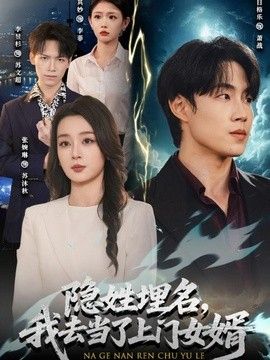 隱姓埋名，我去當了上門女婿海報